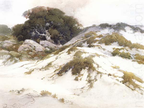 Percy Gray Monterey Sany Dunes (mk42) china oil painting image